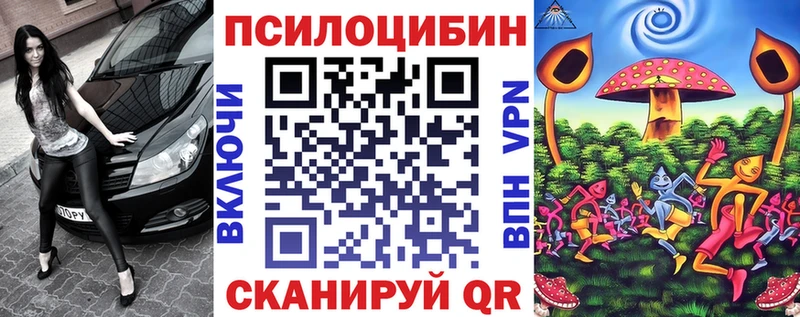 Галлюциногенные грибы Psilocybe  Лангепас 